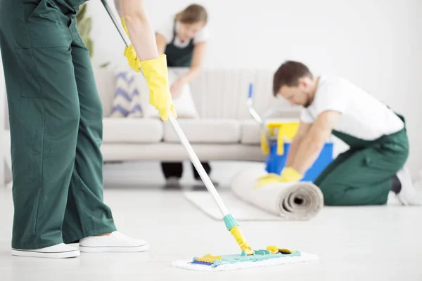 Carpet Cleaning Service